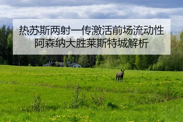 re-su-si-liang-she-yi-chuan-ji-huo-qian-chang-liu-dong-xing-a-sen-na-da-sheng-lai-si-te-cheng-jie-xi-3-195.jpg